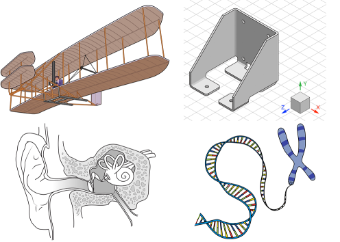 ELA and science illustrations